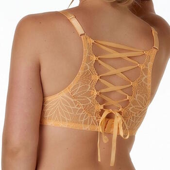 After Eden D-Cup & Up Febe Pêche Soutien-Gorge Rembourré