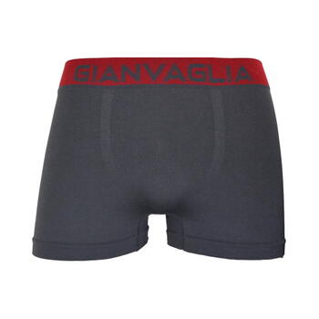 Gianvaglia Loyd Gris Sport Boxer