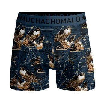 Muchachomalo Eagle Bleu/Print Boxer pour Hommes