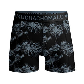 Muchachomalo Calamari Noir/Bleu Boxer