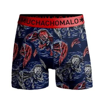 Muchachomalo Fire Bird Bleu/Print Boxer