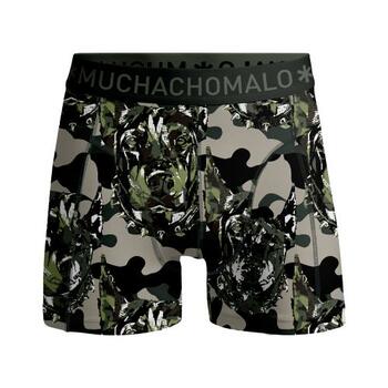 Muchachomalo Dog Vert/Print Boxer