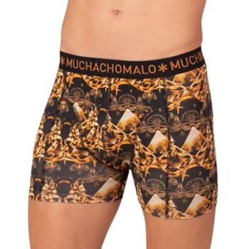 Muchachomalo Myth Egyptian Noir/Brun Boxer