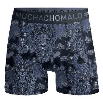 Muchachomalo Lion Bleu/Print Boxer