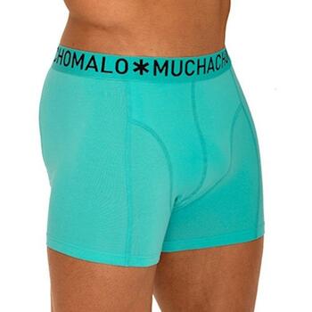 Muchachomalo Light Cotton Solid Aqua Boxer