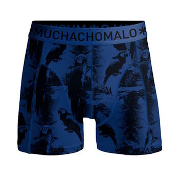 Muchachomalo Papagay Bleu/Print Boxer pour Hommes