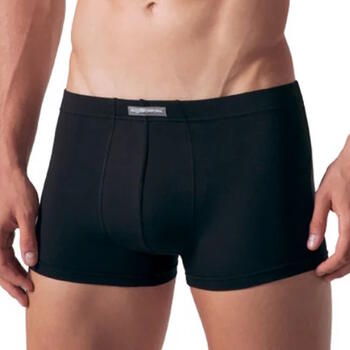 Entex Rossoporpora Noir Boxer