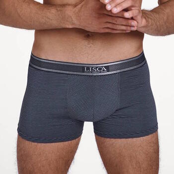 Lisca Zeus Gris Boxer