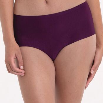 Anita Essential Violet Haut Slip