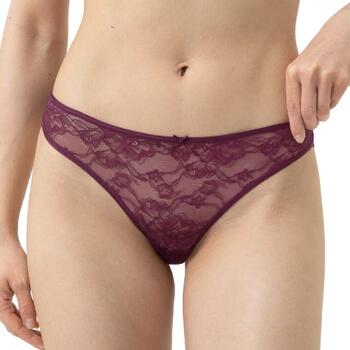 Mey Fabulous Bordeaux Culotte String