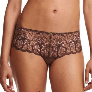 Chantelle Fleurs Marron Shortie