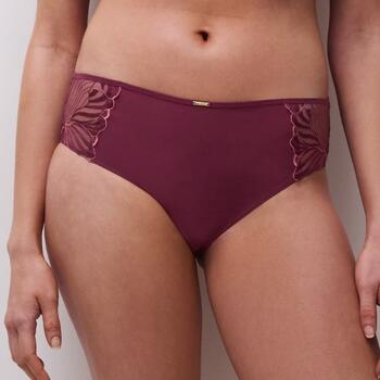 Chantelle Legend Aubergine Shortie