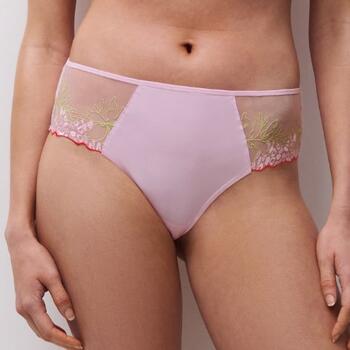 Chantelle Spice Rose Shortie