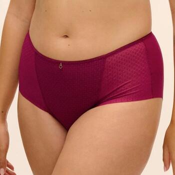 Fantasy Lingerie Evolution Rubis Slip