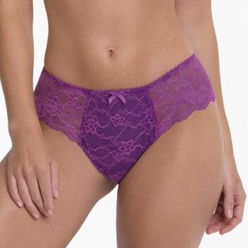 Rosa Faia Bobette Magic Purple Shortie