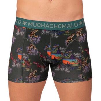 MUCHACHOMALO FROGGER Green/Print Modal Boxershort [175]