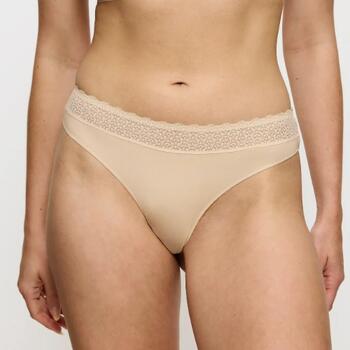 Triumph Feel of Modal String Creamy Dream