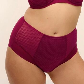 Fantasie Evolution Comfort Ruby High Waist Brief