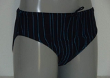 Les hommes de Shiwi pinstripe bleu marine maillot de bain pour homme