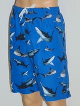 Shiwi Men Shark bleu/print maillot de bain pour homme