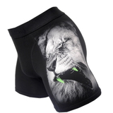 Stormen Lion noir boxer