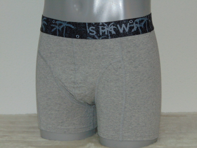 Shiwi Men Palm gris boxer