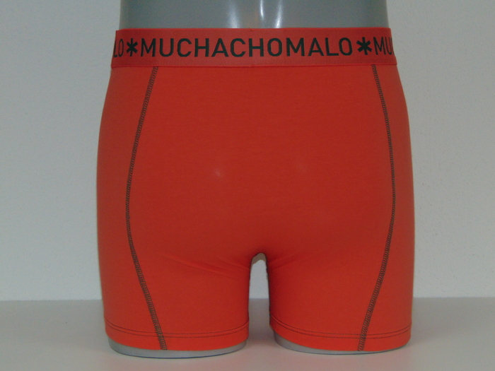 Muchachomalo Basic corail boxer