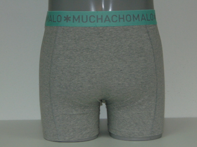 Muchachomalo Solid  gris boxer