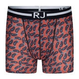 RJ Bodywear Hommes Pure Color  aubergine sport boxer