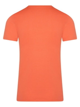 RJ Bodywear Hommes Pure Color  corail shirt