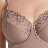 Rosa Faia Scarlett antique rose corselet