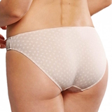 Rosa Faia Twin Art rose slip