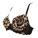 Dream Avenue Broadway marron/print soutien-gorge rembourré