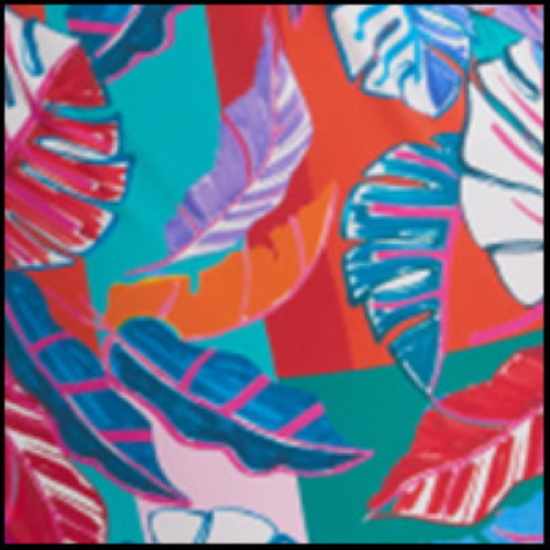 Maillots de bain Rosa Faia Bonny multicolore/print slip de bikini