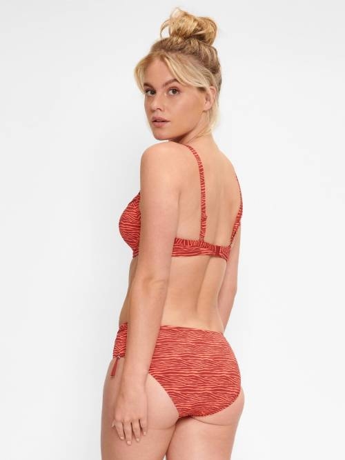 Plage de LingaDore Bright Zebra animal print haut de bikini préformé