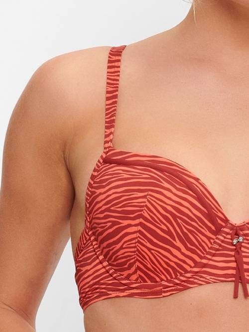 Plage de LingaDore Bright Zebra animal print haut de bikini préformé