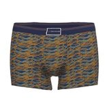 Tom Tailor Blue/Green All over  bleu/print sport boxer