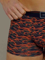 Tom Tailor Blue/Green All over  bleu/print sport boxer
