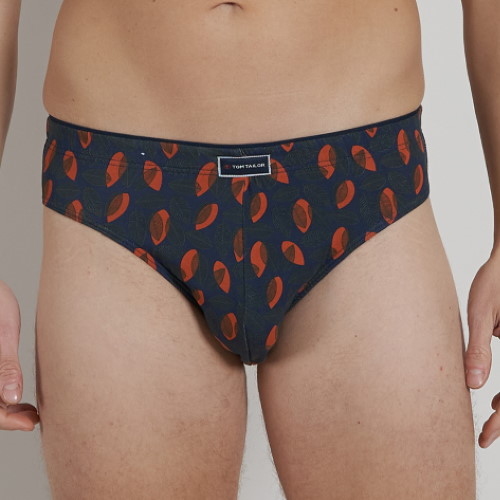 Tom Tailor Autumn gris/orange slip pour hommes