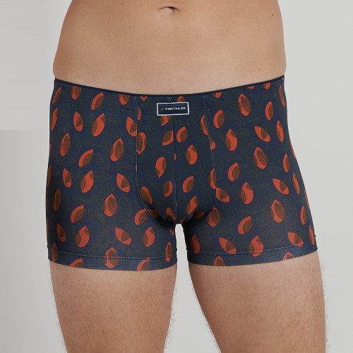 Tom Tailor Autumn gris/orange sport boxer