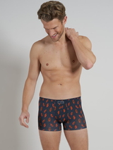 Tom Tailor Autumn gris/orange sport boxer