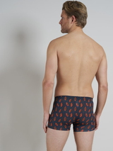 Tom Tailor Autumn gris/orange sport boxer