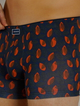Tom Tailor Autumn gris/orange sport boxer