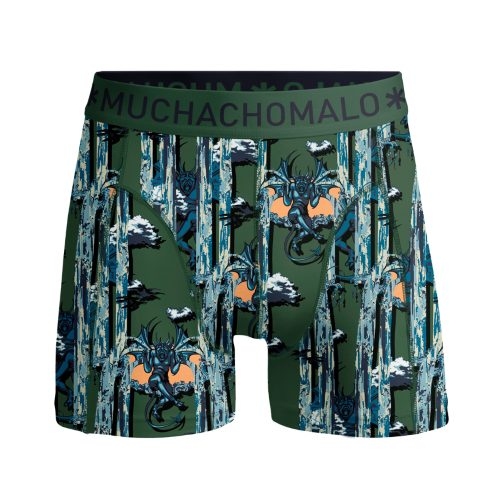 Muchachomalo Chasing Waterfalls vert/print boxer