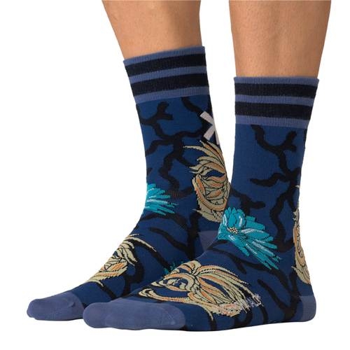 Muchachomalo Lickit bleu/print chaussettes