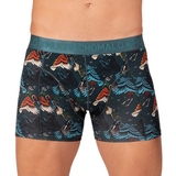 Muchachomalo Birds vert/print modal boxer