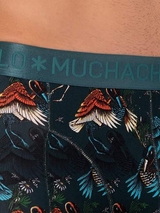 Muchachomalo Birds vert/print modal boxer