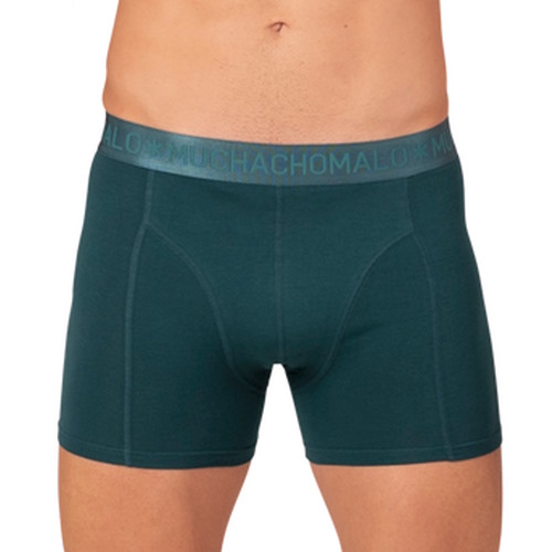 Muchachomalo Basic vert modal boxer