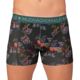 Muchachomalo Frogger vert/print modal boxer