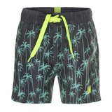  DJ DutchJeans Palmiers gris/menthe maillot de bain pour homme